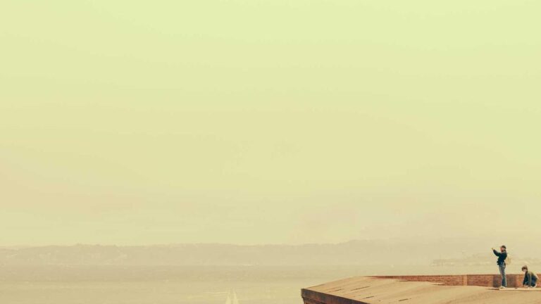 What Features Set 11Xplay Tiger Exchange Apart From Others?